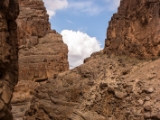 IMG 0650 : Ladakh