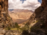 IMG 0662 : Ladakh