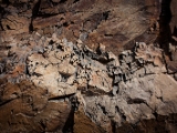 IMG 0669 : Ladakh