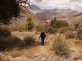 IMG 0676 : Ladakh