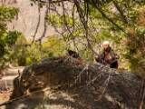 IMG 0681 : Ladakh