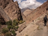 IMG 0684 : Ladakh