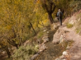 IMG 0698 : Ladakh