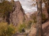 IMG 0699 : Ladakh