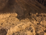 IMG 0820 : Ladakh