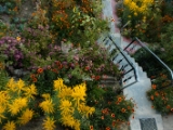 IMG 0986 : Ladakh