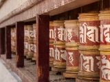 IMG 1105 : Ladakh
