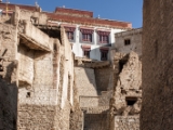 IMG 1114 : Ladakh