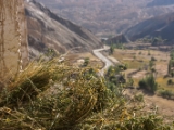 IMG 1119 : Ladakh