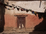 IMG 1149 : Ladakh