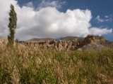 IMG 1213 : Ladakh