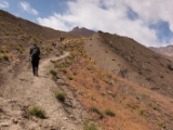 IMG 1292 : Ladakh