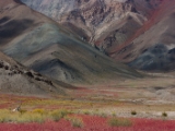 IMG 1307 : Ladakh