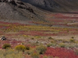 IMG 1311 : Ladakh
