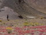 IMG 1312 : Ladakh