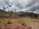 IMG 1320 : Ladakh