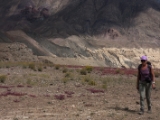 IMG 1324 : Ladakh