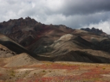 IMG 1331 : Ladakh
