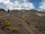 IMG 1344 : Ladakh