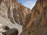 IMG 1377 : Ladakh
