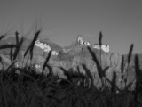 IMG 1497 : Ladakh