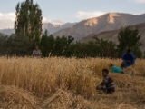 IMG 1500 : Ladakh