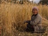 IMG 1505 : Ladakh