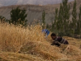 IMG 1507 : Ladakh
