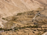 IMG 1612 : Ladakh