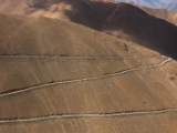 IMG 1622 : Ladakh