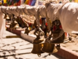 IMG 1642 : Ladakh