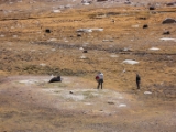 IMG 1677 : Ladakh