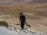 IMG 1707 : Ladakh