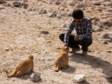 IMG 1756 : Ladakh