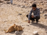IMG 1758 : Ladakh