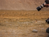 IMG 1785 : Ladakh