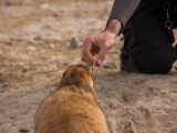 IMG 1797 : Ladakh