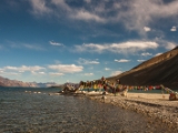 IMG 1916 : Ladakh
