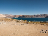 IMG 2300 : Ladakh