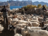 IMG 2307 : Ladakh