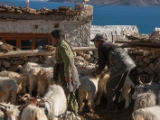 IMG 2313 : Ladakh