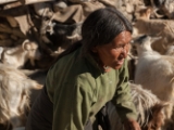 IMG 2316 : Ladakh