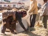 IMG 2326 : Ladakh