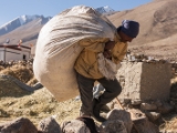 IMG 2329 : Ladakh