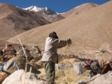 IMG 2340 : Ladakh