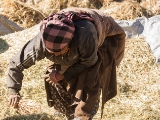 IMG 2353 : Ladakh