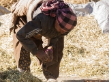 IMG 2354 : Ladakh