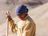IMG 2377 : Ladakh