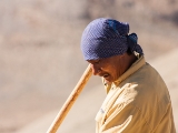 IMG 2378 : Ladakh