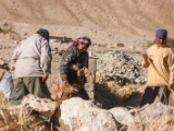 IMG 2381 : Ladakh